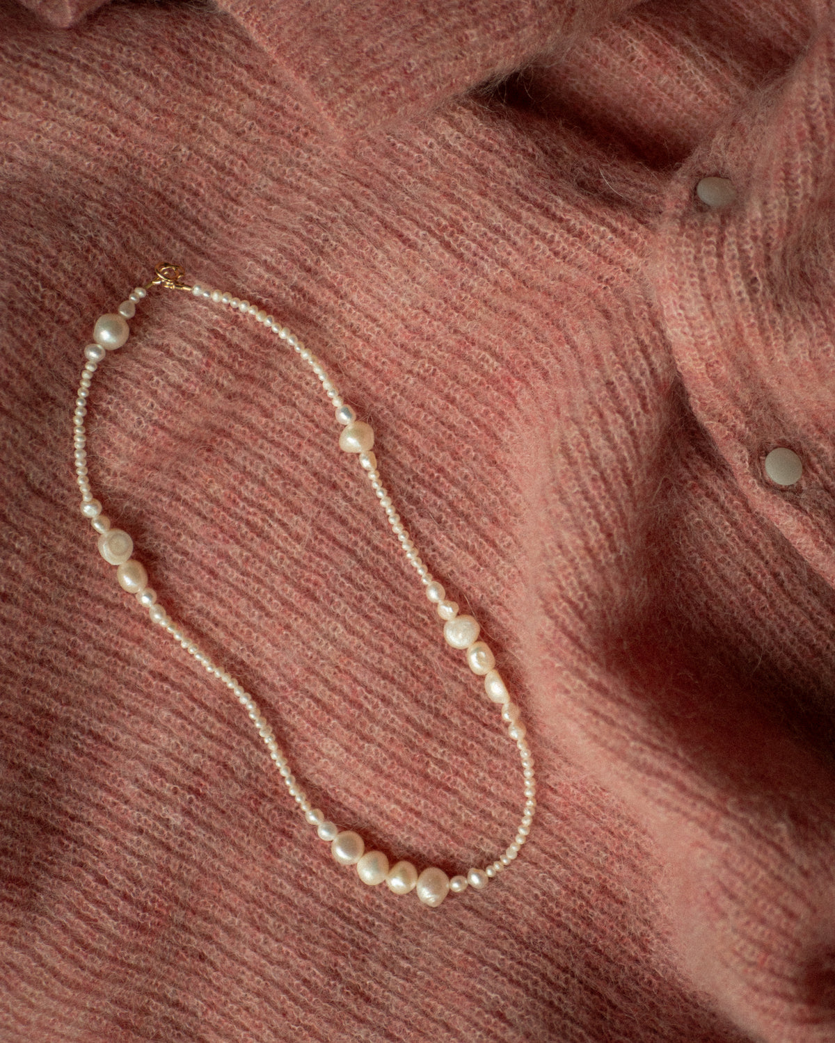 Seashell Onda