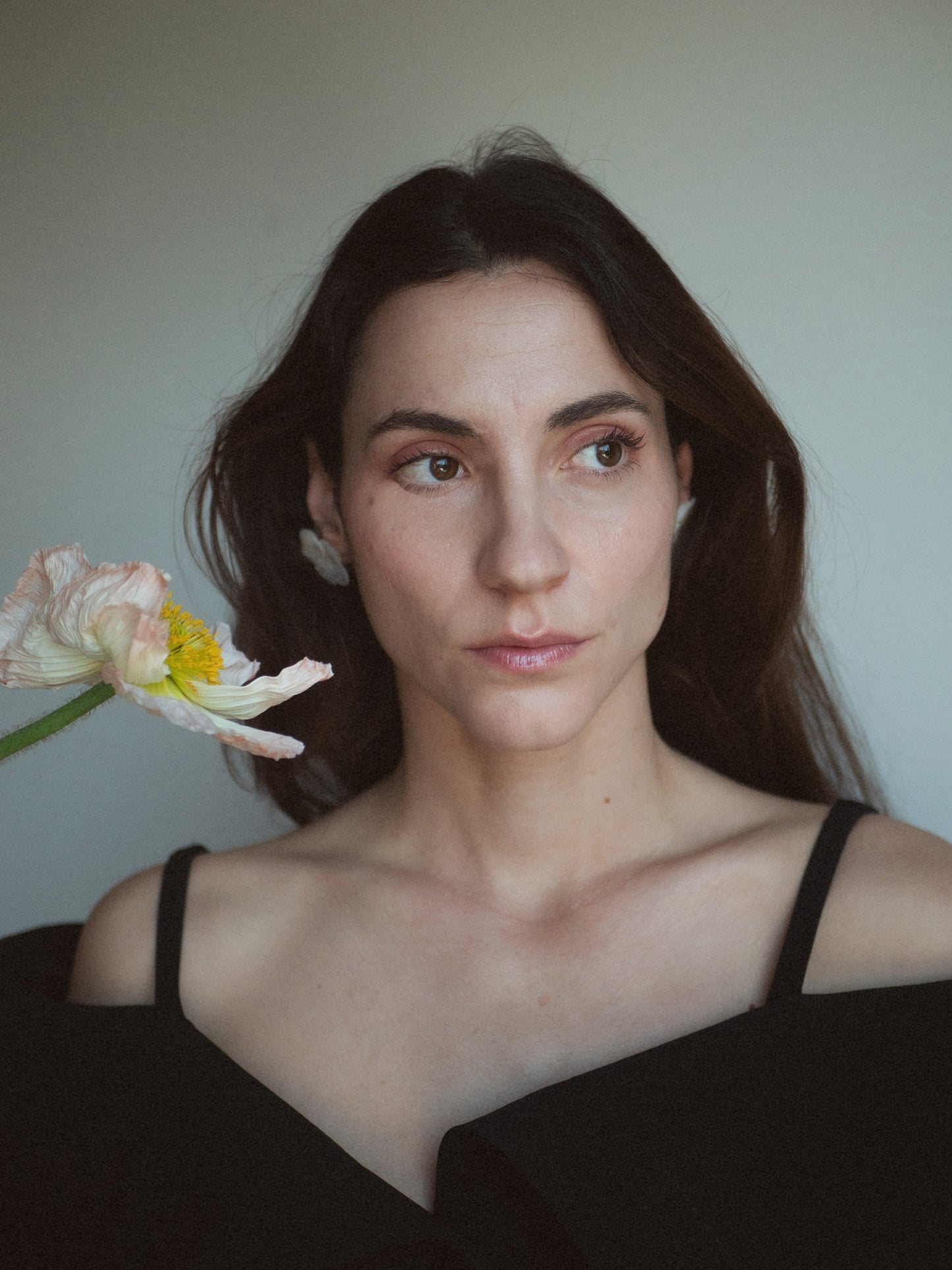 Floating Petals — Soft Blush