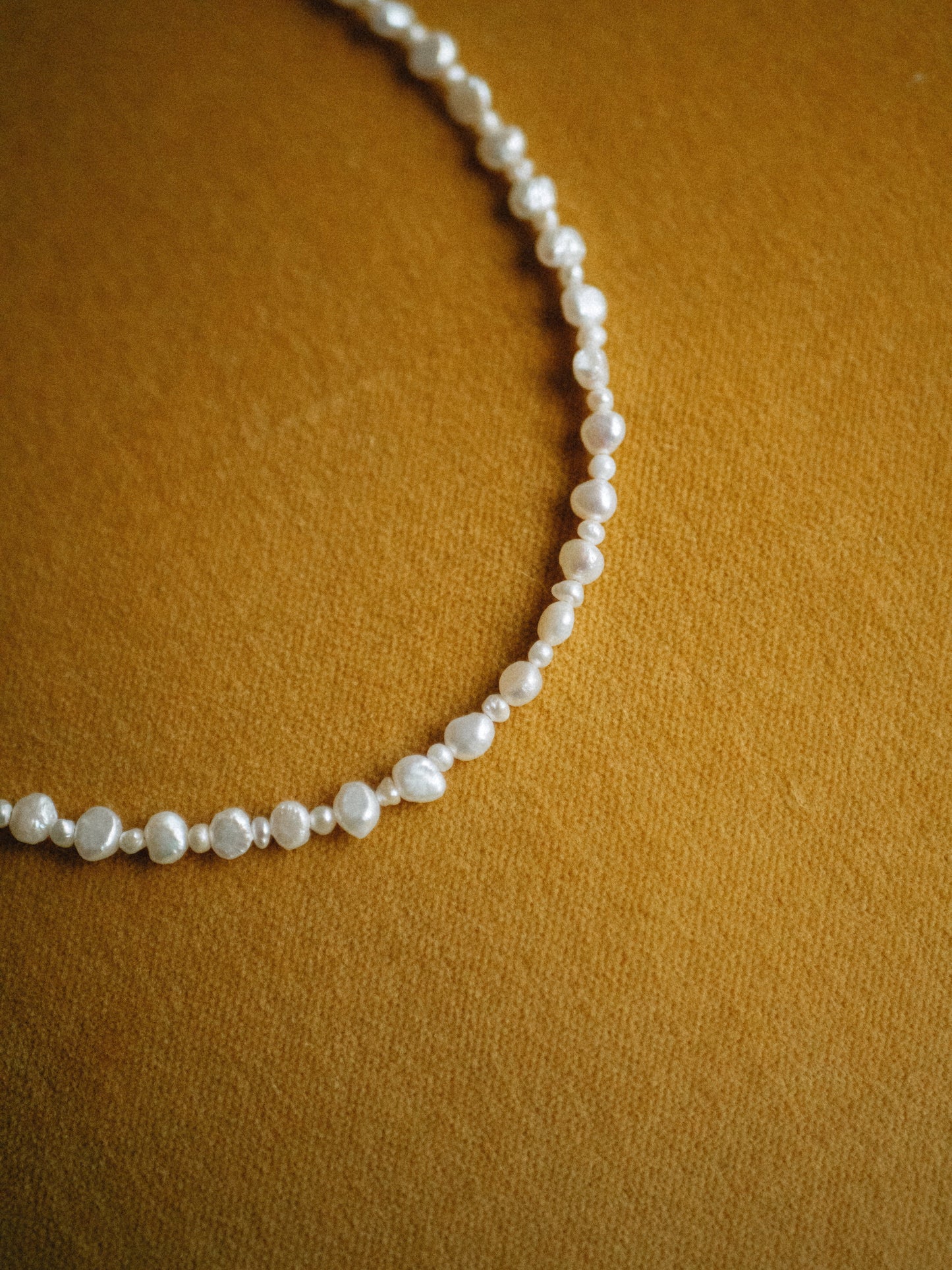 Seashell Blend Necklace