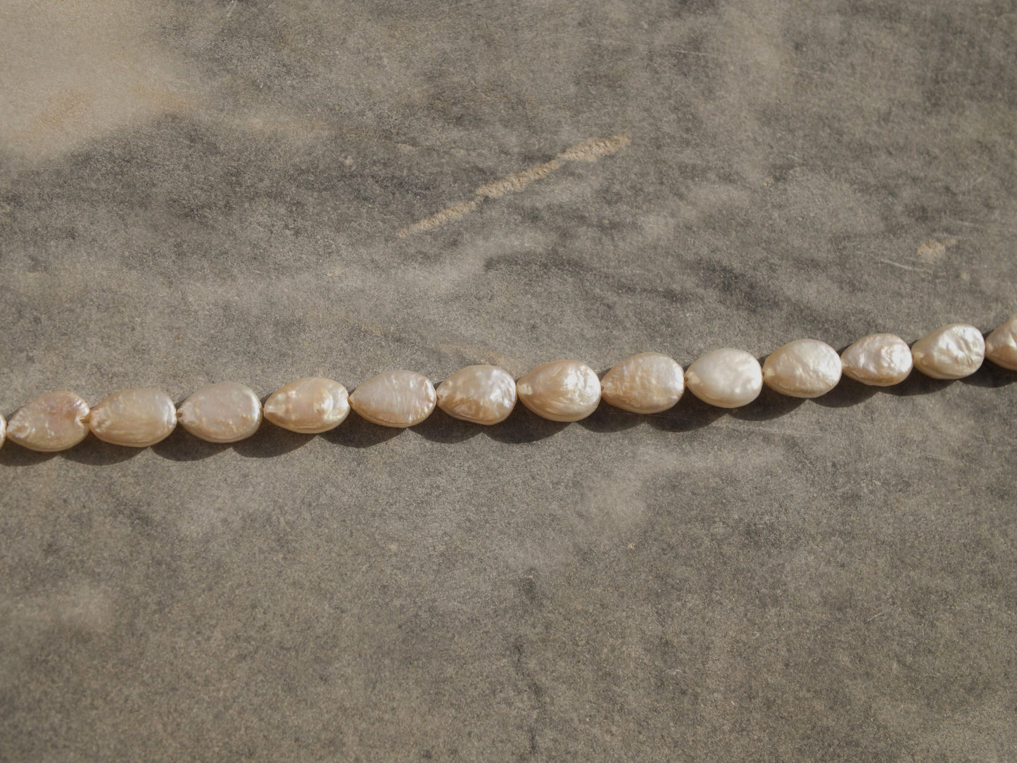 Seashell Drop