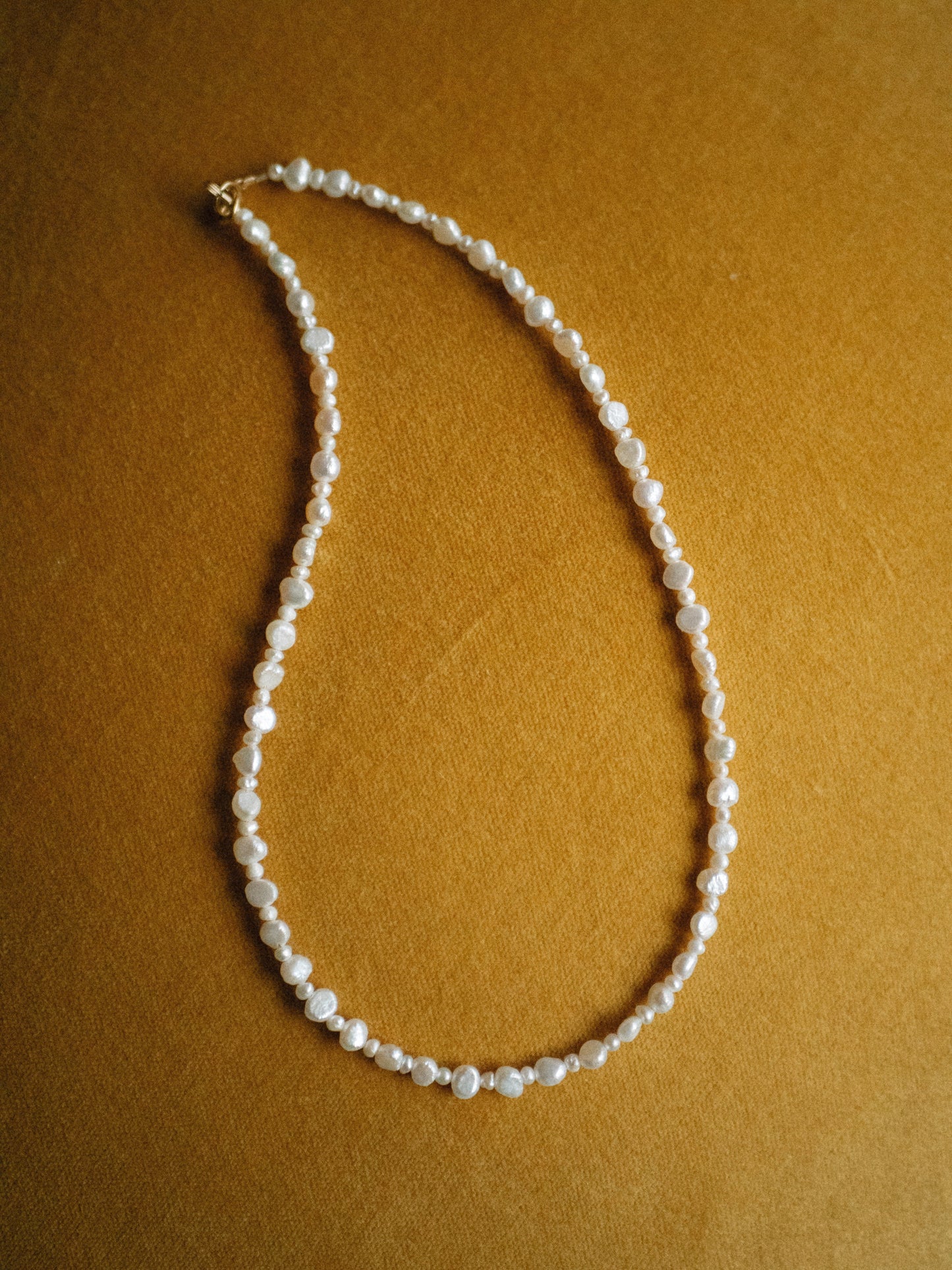 Seashell Blend Necklace