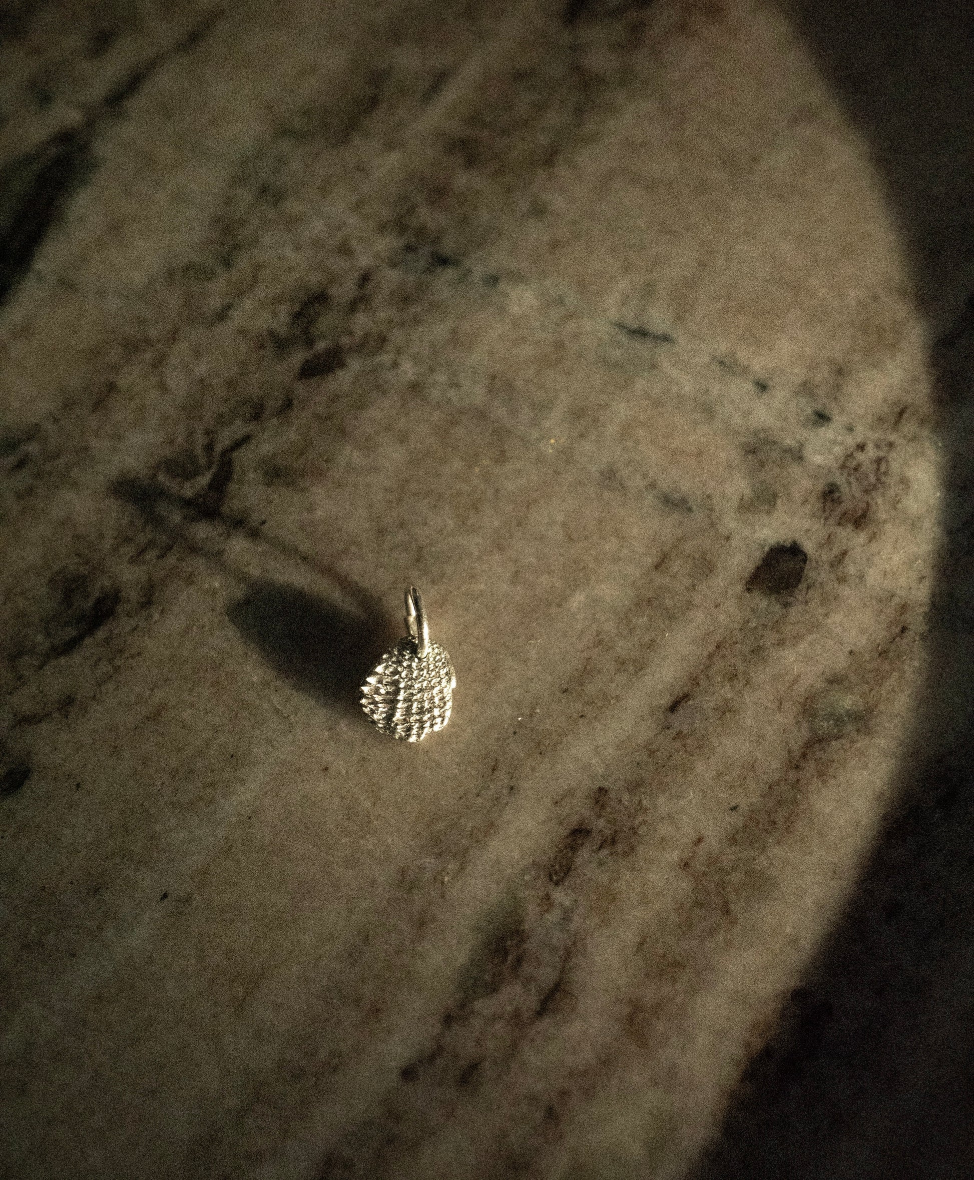 Small silver seashell shaped textured pendant on a stone surface