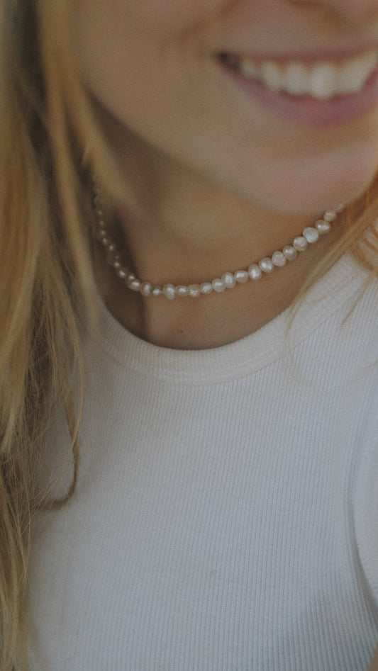 Seashell Midi